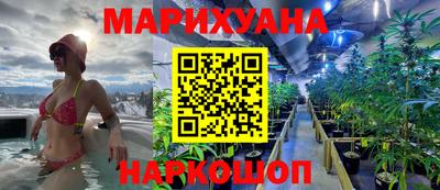 крисы Кинель