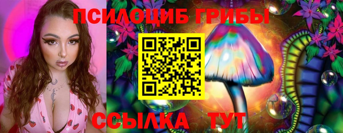 Кольчугино  Галлюциногенные грибы мухоморы  Вход с VPN  Галлюциногенные грибы мухоморы 